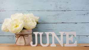 June 2025 Calendar 