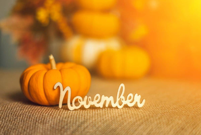November 2025 Calendar of Events
